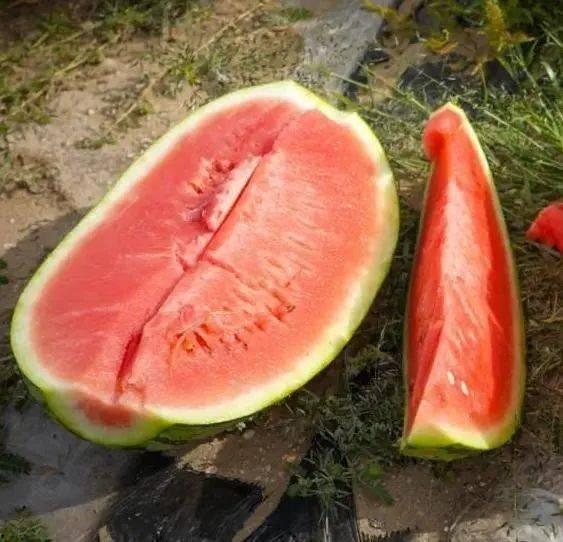 小布吃瓜,揭秘娱乐圈那些不为人知的幕后故事