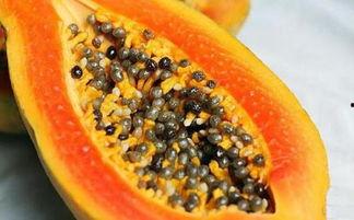 几月份吃毛瓜,毛瓜丰收季