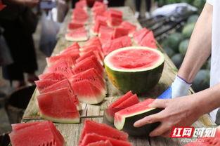 湖南郴州男子吃瓜,郴州男子意外成为“吃瓜群众”焦点人物