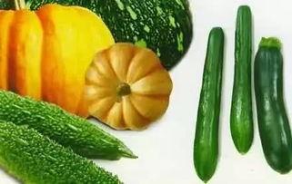 果果在吃瓜,果果的夏日瓜果时光