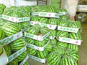 武汉吃瓜事件,一场网络舆论的风波与反思