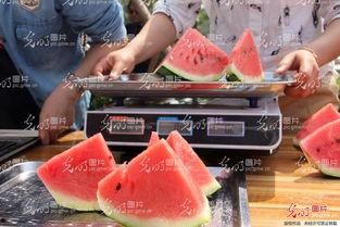 聊城今日吃瓜事件,揭秘背后真相与网络热议