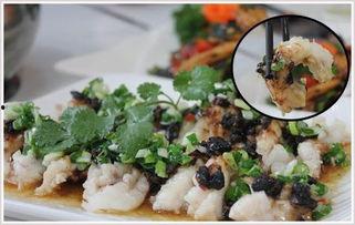 鱼神鱼吃瓜,揭秘海洋生物的趣味食性