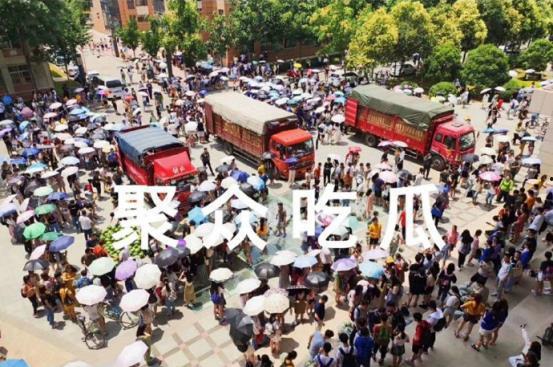 学院吃瓜多人,吃瓜多人生演绎的校园传奇