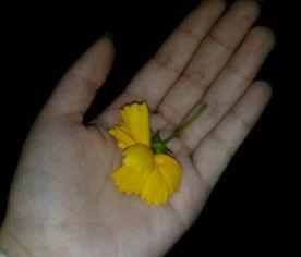 致富群众吃瓜视频,揭秘群众通过短视频实现财富增长的奥秘