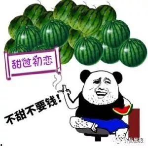 许昌卖瓜吃的,卖瓜也能吃出甜头