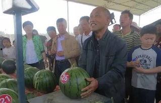 内黄吃瓜视频,揭秘当地特色美食背后的故事