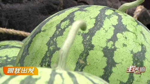 湖北宜昌吃瓜,品味宜昌特色美食