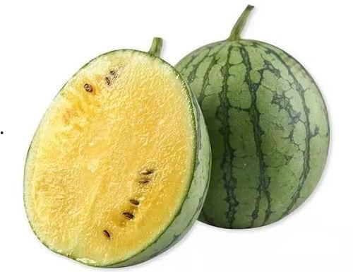 摆东西准备吃瓜,尽享悠闲夏日时光