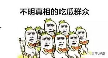 看客吃瓜群众,揭秘娱乐圈幕后真相