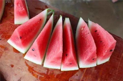 长沙吃瓜直播,一场美食与娱乐的盛宴