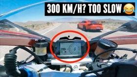 吃瓜车队加入条件,揭秘加入条件，开启你的趣味之旅！