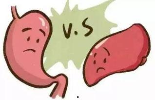 吃瓜不吐的句子,揭秘娱乐圈幕后真相