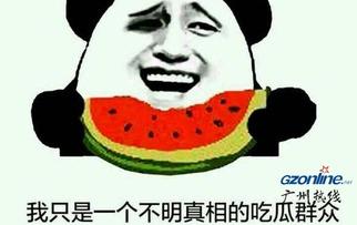 吃瓜吃成麻瓜是啥意思,揭秘网络流行语的演变与影响