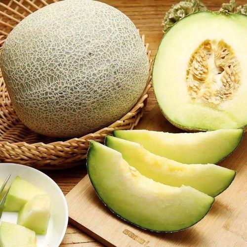雅吃蜜瓜梗图