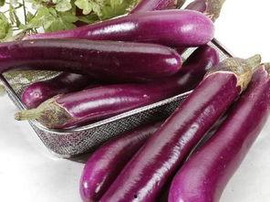 茄子视频吃瓜晨曦,揭秘娱乐圈幕后故事