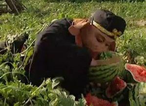 八戒偷瓜吃,一场趣味横生的田园奇遇