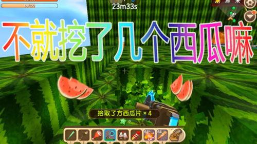 吃瓜世界2,揭秘娱乐圈背后的秘密与真相