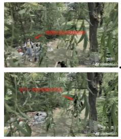 吃瓜撑了剧情解析,揭秘剧情背后的真相与反转