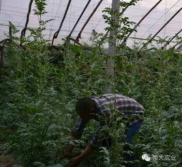 吃瓜刷刷刷,揭秘娱乐圈幕后故事