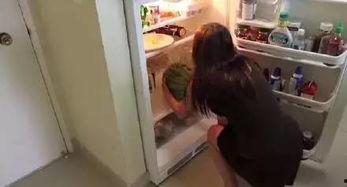 带你吃瓜奇葩冰箱,奇趣“吃瓜”冰箱，揭秘现代家居新潮流