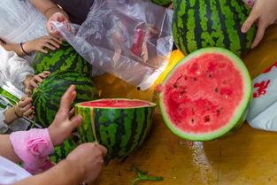 国内最大的吃瓜视频