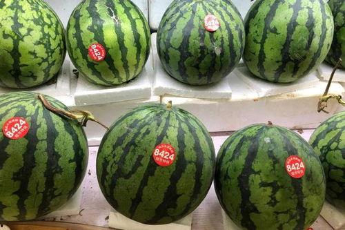 小7吃瓜,揭秘娱乐圈那些不为人知的幕后故事