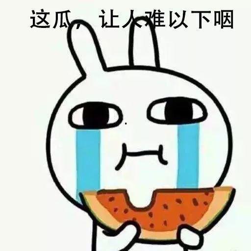 吃瓜梦幻岛,揭秘吃瓜梦幻岛的奇幻之旅