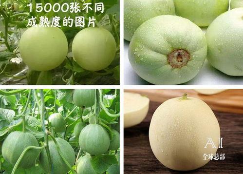 抖音吃瓜全部,揭秘热门事件背后的真相与笑料