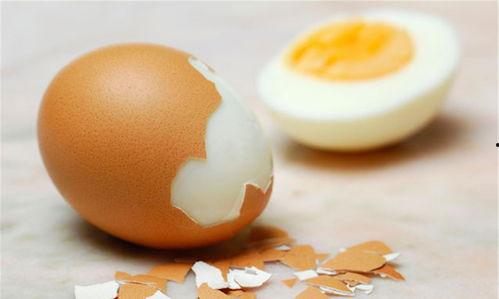 带你吃瓜蘑菇鸡蛋,带你品尝独特风味