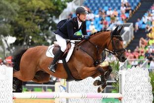 德国马术吃瓜,一场高贵与激情的视觉盛宴