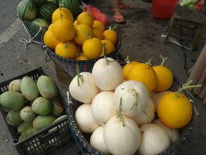 田头吃瓜,夏日田园生活画卷