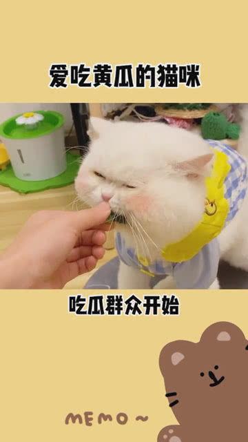 吃瓜群众开始吃瓜啦,揭秘娱乐圈最新热点