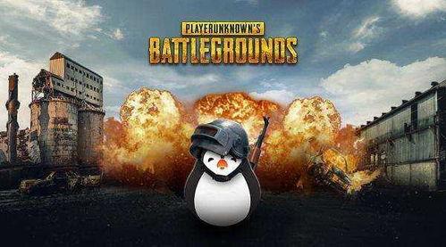 老王瓜吃鸡直播,趣味横生，欢乐无限