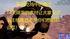 辰小呆瓜吃鸡,辰小呆瓜的吃鸡奇遇记