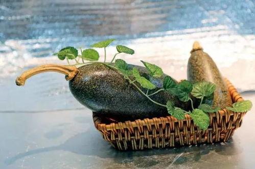 为什么小瓜吃石头,探寻自然界的神秘现象