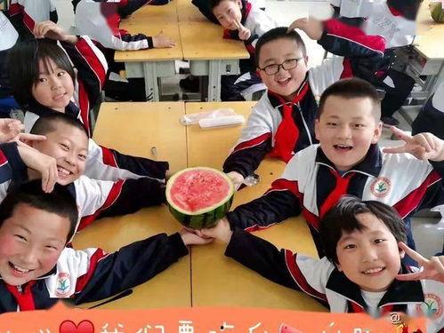 湖南中学吃瓜,揭秘校园美食背后的故事