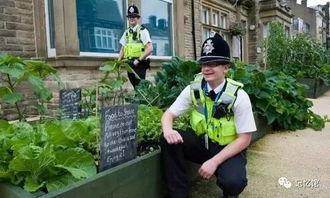 吃瓜的小镇,一场全民参与的乡村盛宴