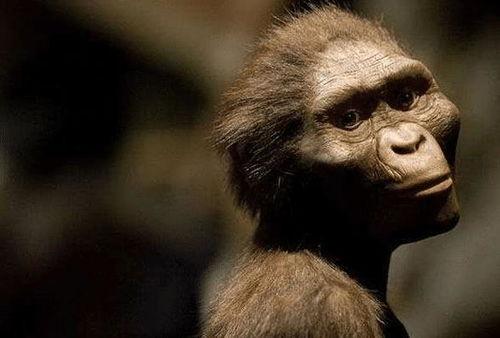 人类返祖吃瓜,探寻人类远古食趣