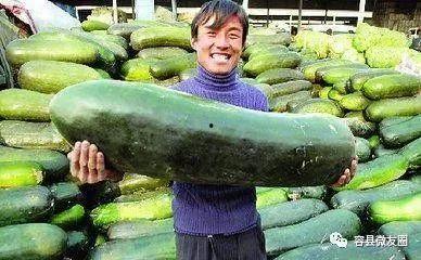 在恋爱里吃瓜,揭秘甜蜜背后的那些秘密