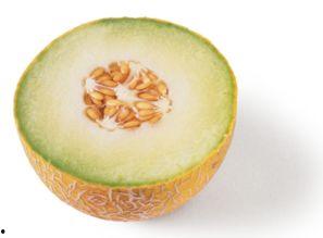 哈密瓜种子可吃吗有毒吗,可食用还是潜在风险？