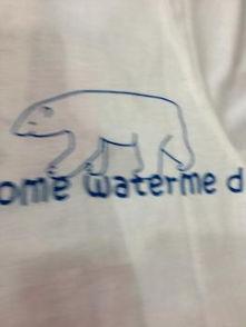 吃瓜小熊棉,揭秘瓜界萌宠的甜蜜生活