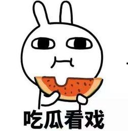 吃瓜大佬小飞机小说,揭秘娱乐圈背后的风云变幻