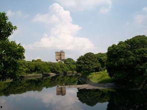 瓜岭村有东西吃,美食汇聚，东西吃不尽的乡村乐土