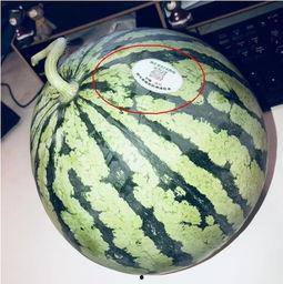 网红吃瓜千万,揭秘网络热点的背后真相