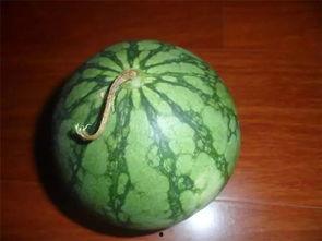 韩老魔吃瓜,揭秘娱乐圈幕后真相