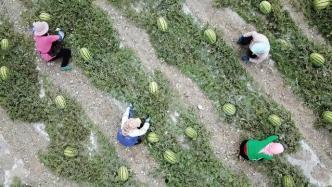 峡谷吃瓜群众下跪,背后原因令人深思