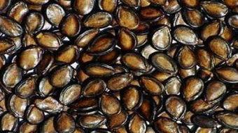 阜康市吃瓜,品味清凉，畅享夏日时光