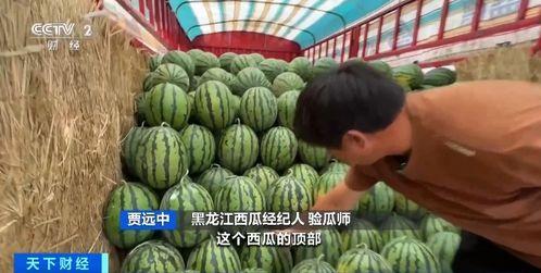 吃瓜公司避雷,教你如何安全“吃瓜”