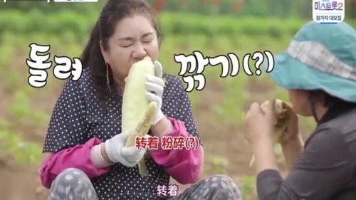 综艺吃大瓜,揭秘明星幕后故事